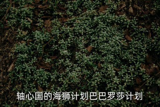 海獅計劃，海獅計劃內(nèi)容