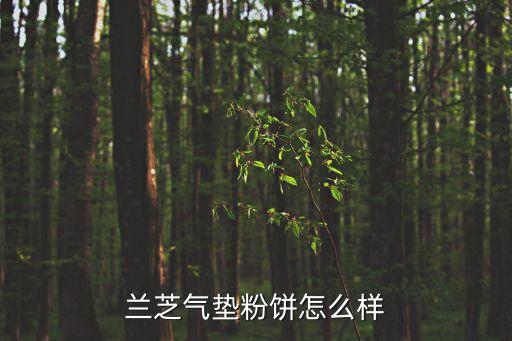 蘭芝氣墊，蘭芝氣墊粉餅怎么樣