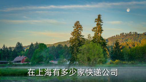 在上海有多少家快遞公司