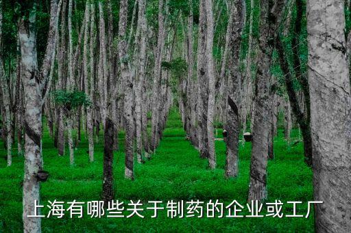 上海市醫藥企業名錄，上海有哪些關于制藥的企業或工廠