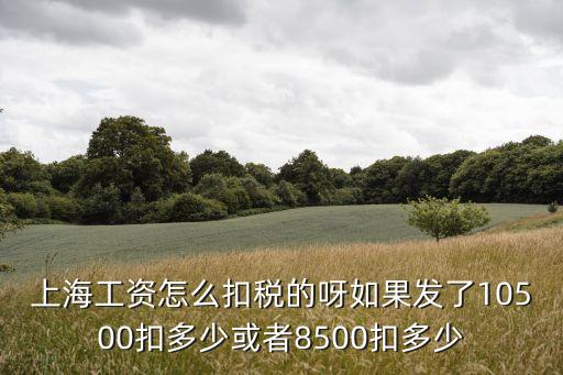 上海市公務(wù)費(fèi)扣除標(biāo)準(zhǔn)，上海住宿費(fèi)餐飲費(fèi)會(huì)務(wù)費(fèi)加油費(fèi)