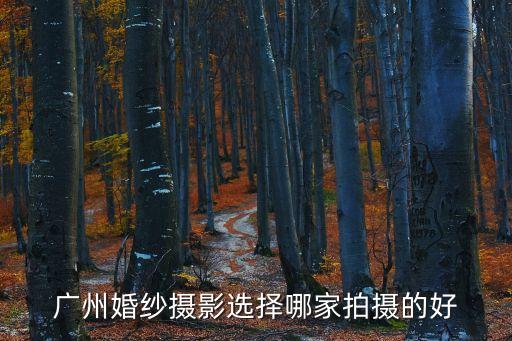 廣州平沙拍攝基地，我想知道廣州名人的拍攝新基地在哪里急