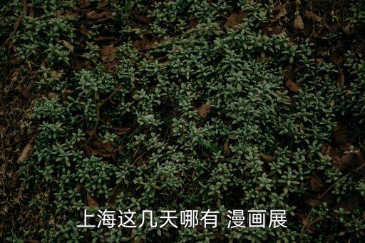 上海這幾天哪有 漫畫展