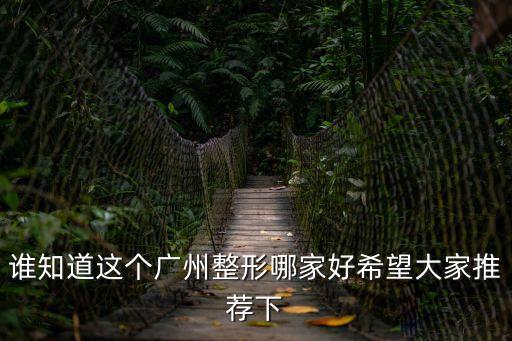廣州厲害的線雕培訓排名，誰知道這個廣州整形哪家好希望大家推薦下