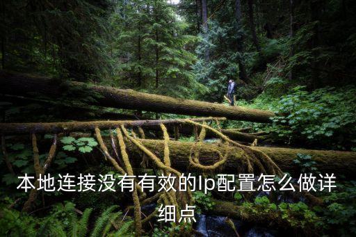 本地連接沒有有效的Ip配置怎么做詳細點