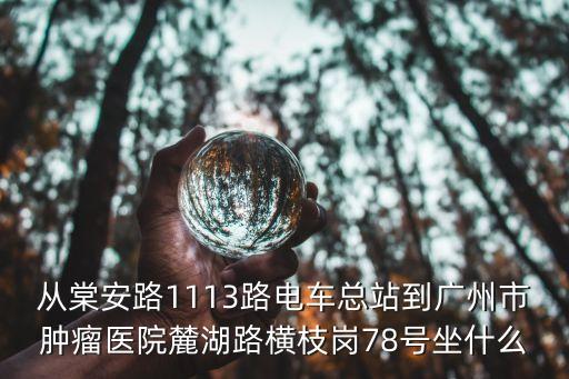 從棠安路1113路電車總站到廣州市腫瘤醫院麓湖路橫枝崗78號坐什么