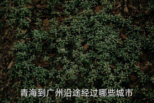 青海到廣州沿途經(jīng)過哪些城市