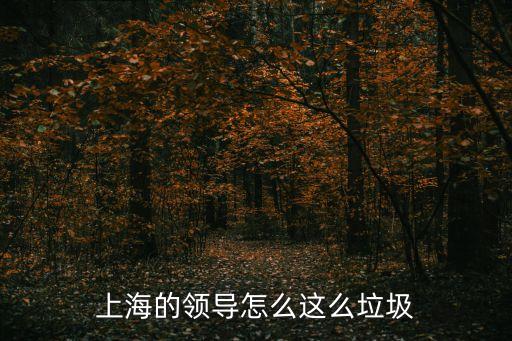 上海的領(lǐng)導(dǎo)怎么這么垃圾