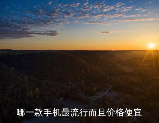 哪一款手機(jī)最流行而且價(jià)格便宜