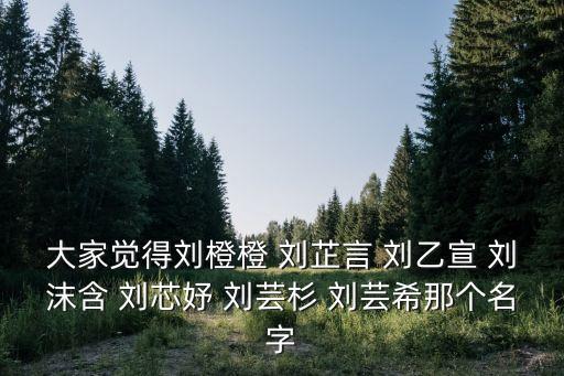 大家覺得劉橙橙 劉芷言 劉乙宣 劉沫含 劉芯妤 劉蕓杉 劉蕓希那個名字
