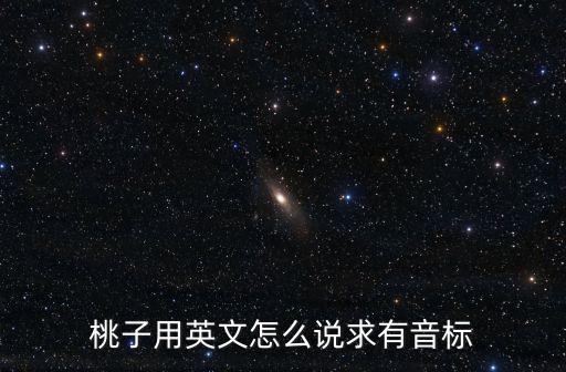 桃子的英語怎么說，桃子用英語怎么說