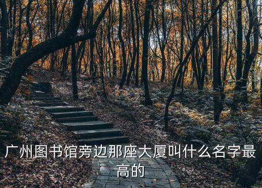 廣州圖書館旁邊那座大廈叫什么名字最高的