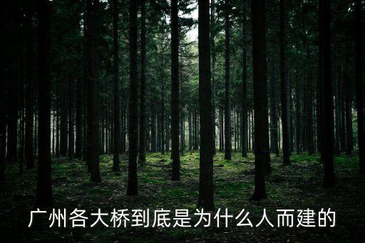 廣州各大橋到底是為什么人而建的