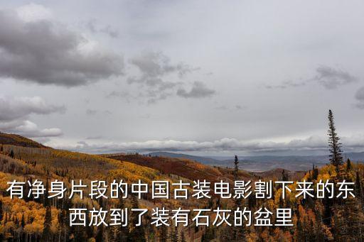 有凈身片段的中國古裝電影割下來的東西放到了裝有石灰的盆里