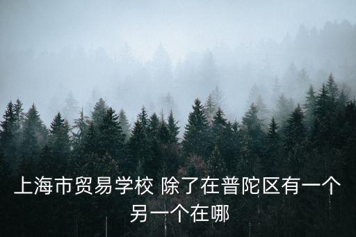 上海市  齊鳳彪，誰知道上海市西林中學(xué)噠