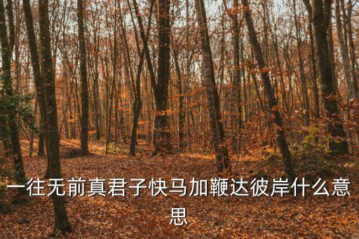 一往無前真君子快馬加鞭達(dá)彼岸什么意思