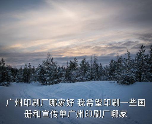 廣州印刷廠哪家好 我希望印刷一些畫冊和宣傳單廣州印刷廠哪家
