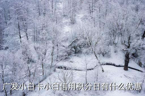 廣發小白卡小白信用積分日有什么優惠