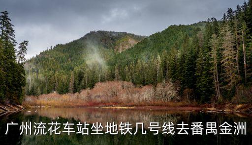 廣州流花車站到金沙洲，流花湖車站到金沙洲路站的車