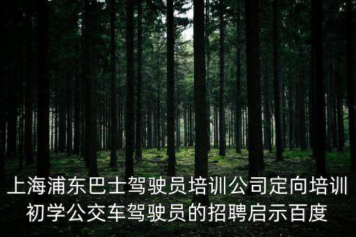 上海浦東巴士駕駛員培訓公司定向培訓初學公交車駕駛員的招聘啟示百度