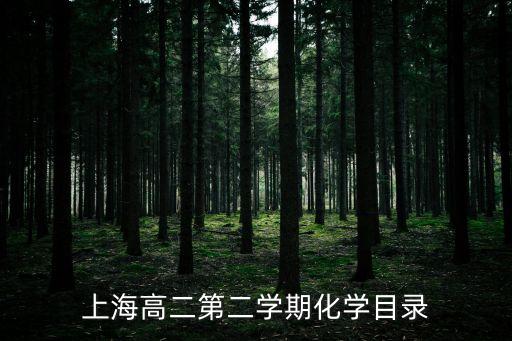 上海高二第二學(xué)期化學(xué)目錄