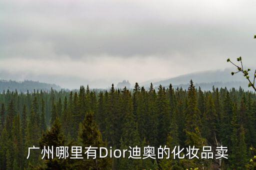 廣州哪里有Dior迪奧的化妝品賣