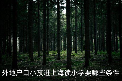 上海市入學條件，外地戶口小孩進上海讀小學要哪些條件