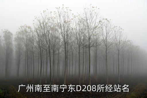 廣州南至南寧東D208所經站名