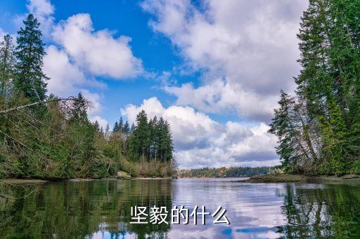 堅毅的意思，堅毅的什么