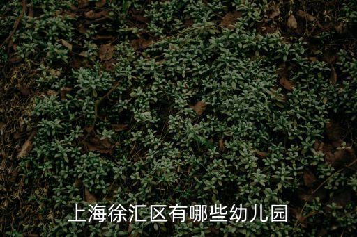上海市徐匯幼兒園，想知道 上海市 徐匯區公立幼兒園 在哪有幾家最好是在黃石路附