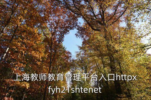 上海市教育教師管理平臺十三五，上海市教育局的網(wǎng)站