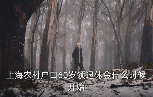 上海農(nóng)村戶口60歲領(lǐng)退休金什么時候開始
