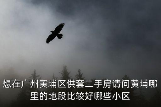 廣州富圖花園小區哪里好，想在廣州黃埔區供套二手房請問黃埔哪里的地段比較好哪些小區