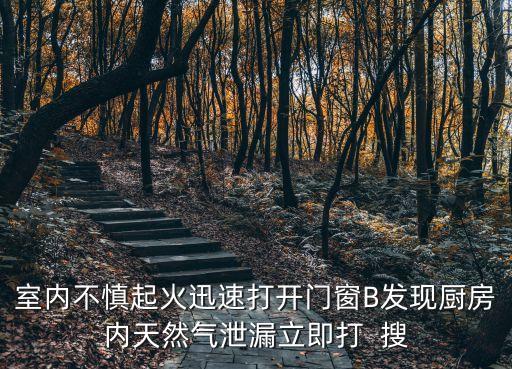 室內(nèi)不慎起火迅速打開(kāi)門(mén)窗B發(fā)現(xiàn)廚房?jī)?nèi)天然氣泄漏立即打  搜