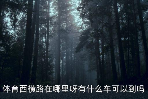 體育西橫路在哪里呀有什么車可以到嗎