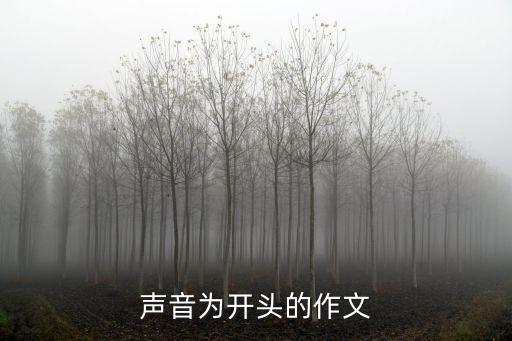 聲音的作文，請以聲音為話題寫一篇作文