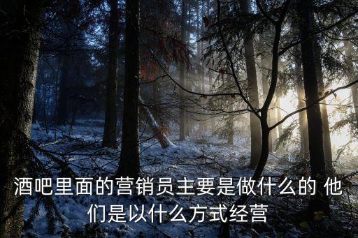 酒吧里面的營銷員主要是做什么的 他們是以什么方式經營