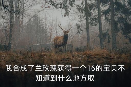 上海市課題成果 1 6，1516急急急