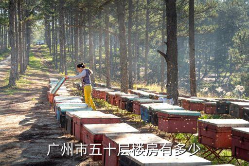 廣州市五十層樓房有多少