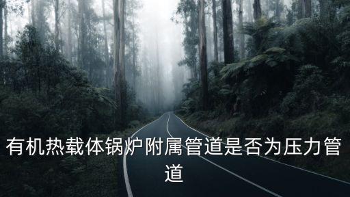 有機(jī)熱載體鍋爐附屬管道是否為壓力管道