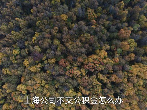 上海市用人單位不加公積金，上海公司沒有給我們加公積金去哪里舉報