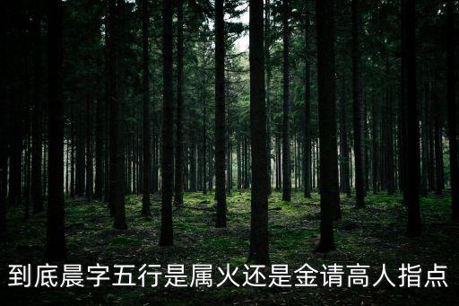 到底晨字五行是屬火還是金請(qǐng)高人指點(diǎn)