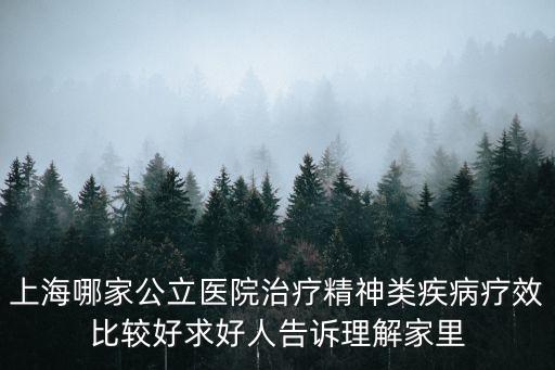 上海哪家公立醫院治療精神類疾病療效比較好求好人告訴理解家里