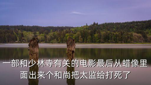 智勇和尚，一部和少林寺有關的電影最后從蠟像里面出來個和尚把太監給打死了