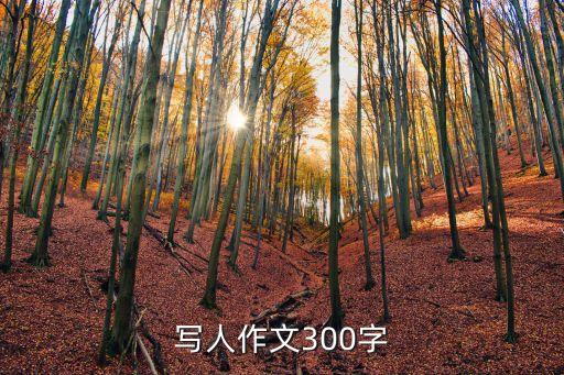 描寫人物的作文300字，寫人物作文300字 快