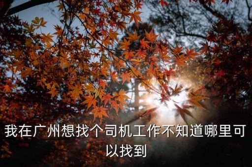 廣州的士駕駛員招聘信息，誰有廣州的士電招電話 我在天河龍洞附近 明天早上5點去機場