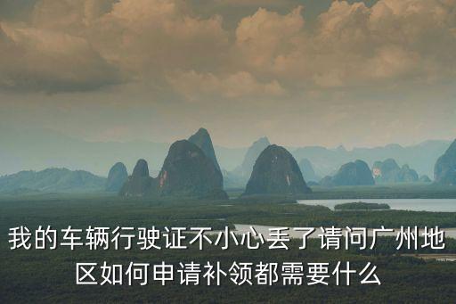 我的車輛行駛證不小心丟了請問廣州地區如何申請補領都需要什么