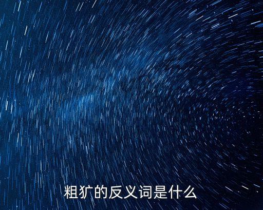粗獷的反義詞是什么