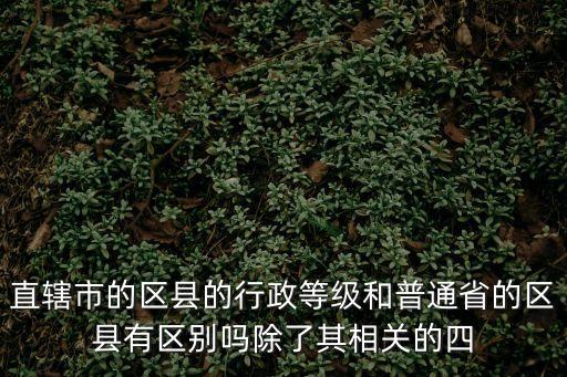 直轄市的區縣的行政等級和普通省的區縣有區別嗎除了其相關的四
