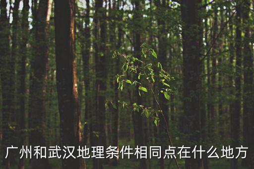 廣州與武漢地理位置，廣州和武漢地理條件相同點在什么地方